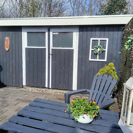 62 * Petten